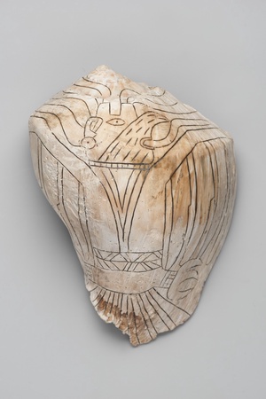 Engraved Conch Shell