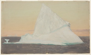 Iceberg and Ice Flower