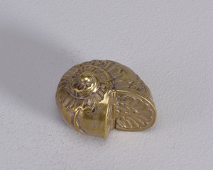 Snail Shell