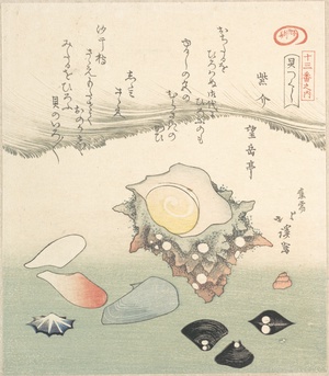 Top-Shell and Various Shells