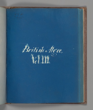 British Algae, Vol. III