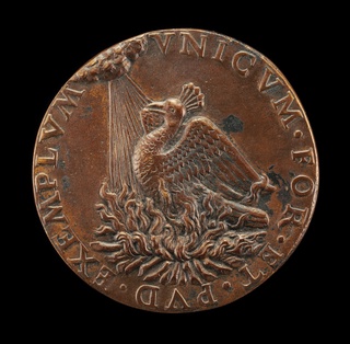 Phoenix on a Pyre Looking at the Sun [reverse]