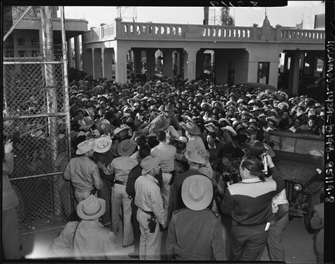 Huge crowd of men wearing hats fill an outdoor area flanked by a chainlink fence on the left and a vehicle on the right.  A photographer is in the foreground aiming his camera at a worker who is aloft over the others. A colonnaded building is in the background.