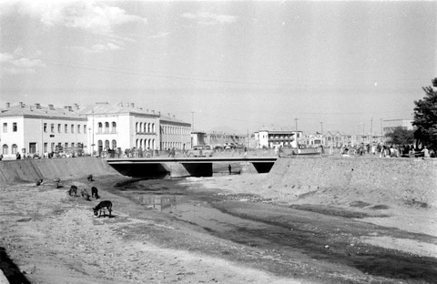 A black and white photograph taken in Kabul, Afghanistan. Animals, possibly donkeys, stand in a drying riverbed. A bridge stretches over the channel. Buildings are visible behind the bridge. People pass on the bridge and stand on either side of the basin.