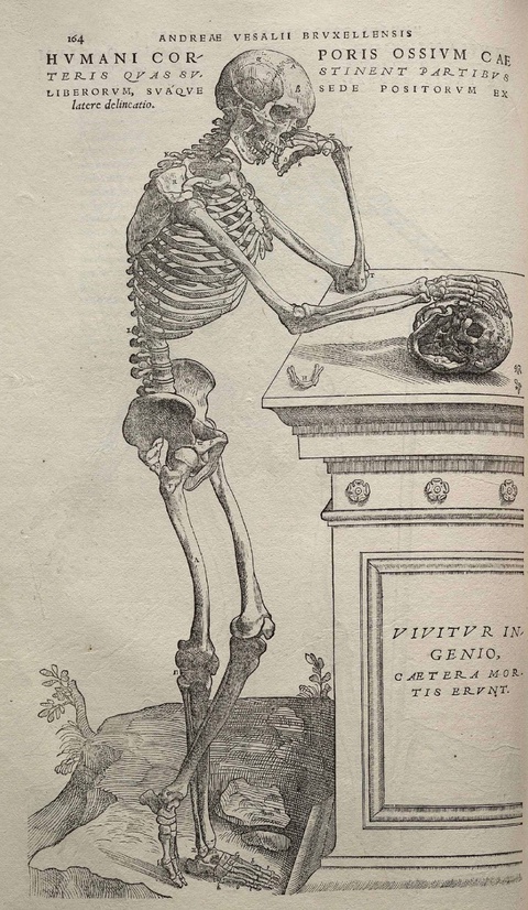 A woodcut depicts a skeleton leaning on a pedestal with one arm and the other arm resting on a skull.