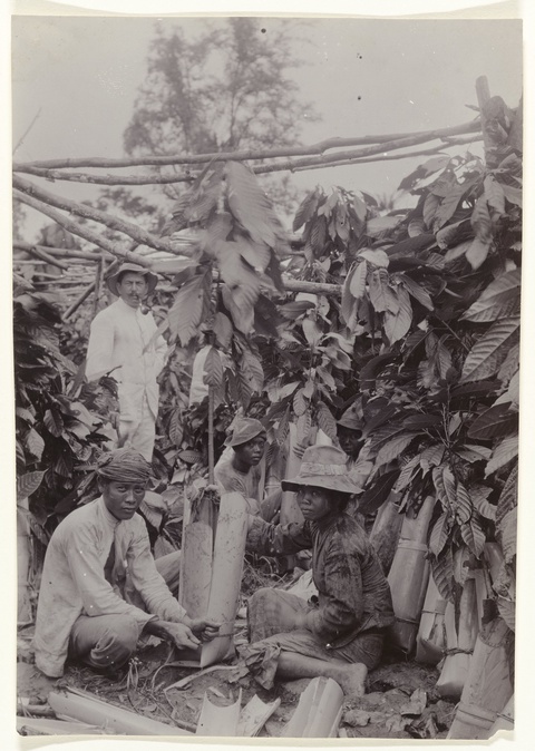A black and white photo shows a well-dressed white plantation owner with a tobacco pipe standing in a field with dense foliage. He wears a clean, white suit and a brimmed hat. 