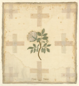 collection image